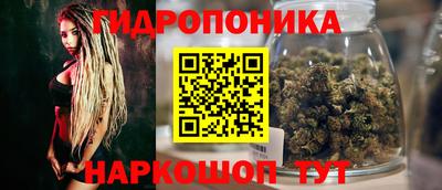 крисы Нарткала