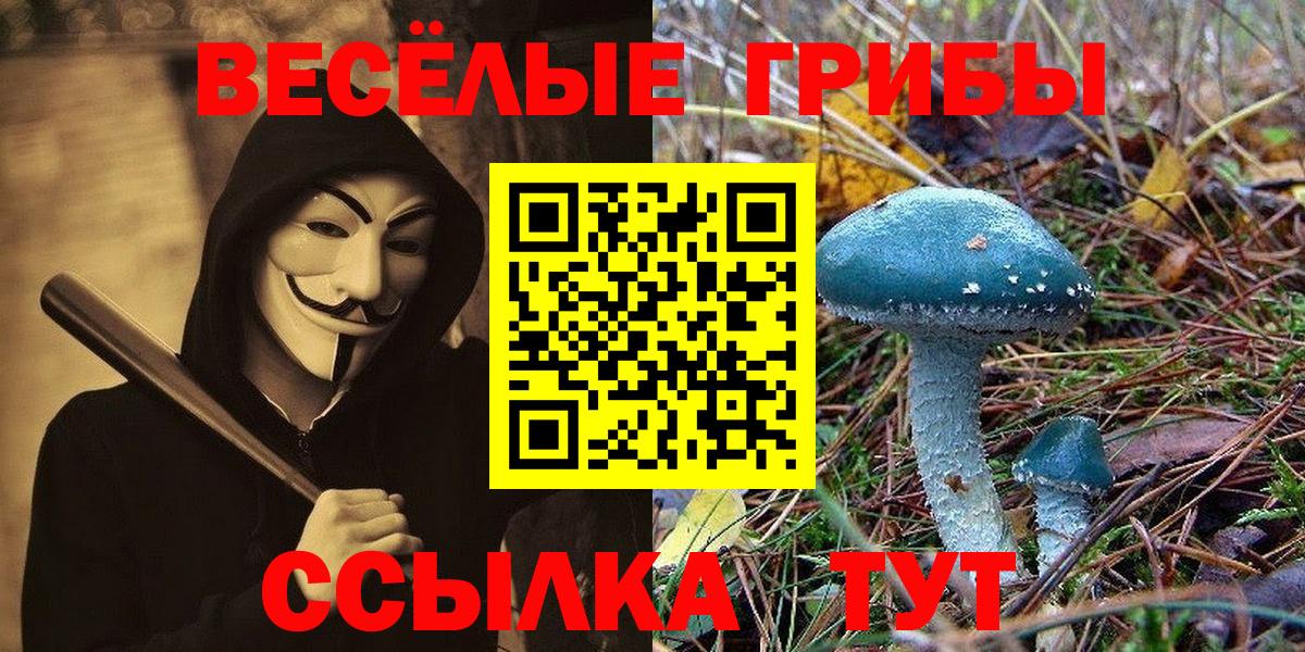 ТГК  Бошки Шишки  Купить наркотик  Меф кристаллы  Вход с VPN  Советск  COCAIN  ГАШИШ 
