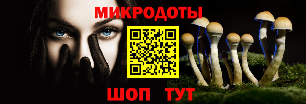 Советск  Галлюциногенные грибы прущие грибы  Вход с VPN 